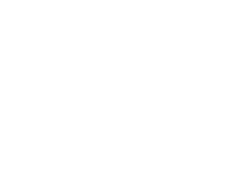 WildSpot808